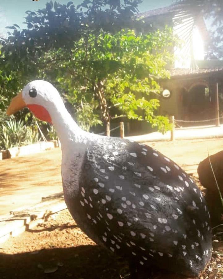 Pousada Vila Cintra Pirenópolis エクステリア 写真